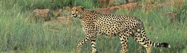 South Africa, Botswana and Victoria Falls (Group 2)